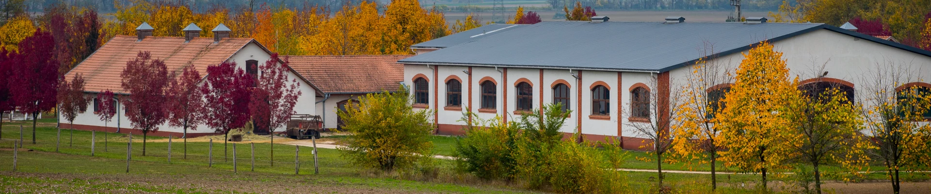 Kajászó-Szentpéterpuszta Lovarda